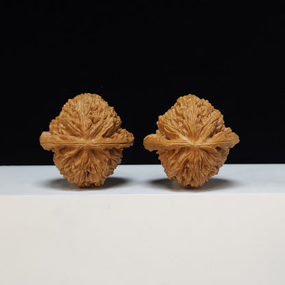 The White Lion Bai Shi Zi Collector Pair | SS-Grade Masterpiece Tier | 43.0mm x 42.0mm | BSZ-SS-010492
