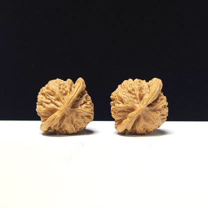 The "Deng Long Lantern" Collector Pair | A-Grade Collector Tier | 39.0mm x 34.0mm | DL-A-004717