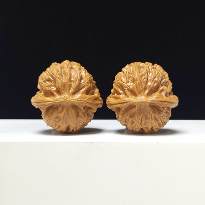 The "Lantern" Collector Pair | AA-Grade Collector Tier | 41.0mm x 41.0mm | SZ-AA-057712