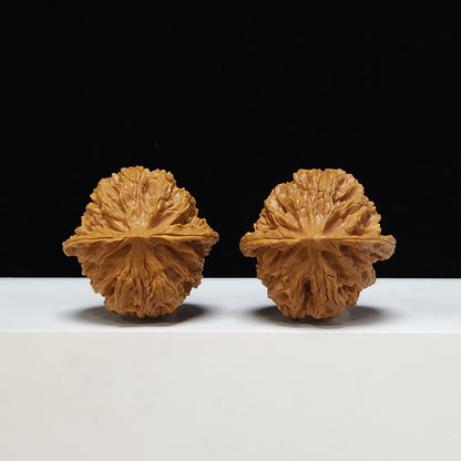 The "Apple Orchard" Ping Guo Yuan Lion's Head Collector Pair | S-Grade Investment Tier | 40.0mm x 38.0mm | PGY-S-001043