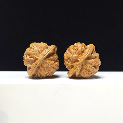 The "Lantern" Collector Pair | A-Grade Collector Tier | 41.0mm x 38.0mm | SZ-A-067711
