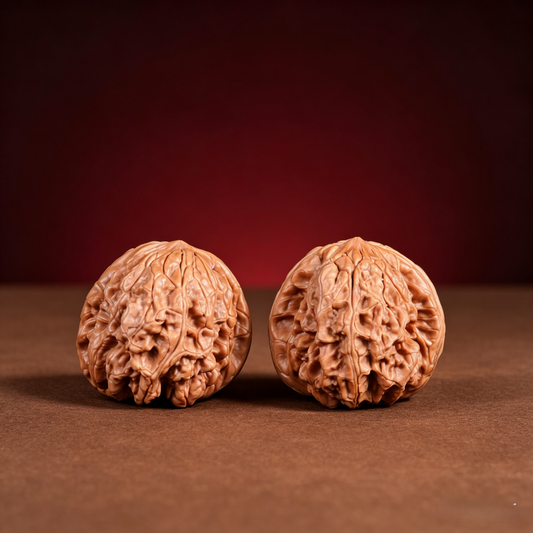 The "Blizzard" Lion's Head Premium Pair | 40.0mm x 40.0mm | BX-A-001 (038)