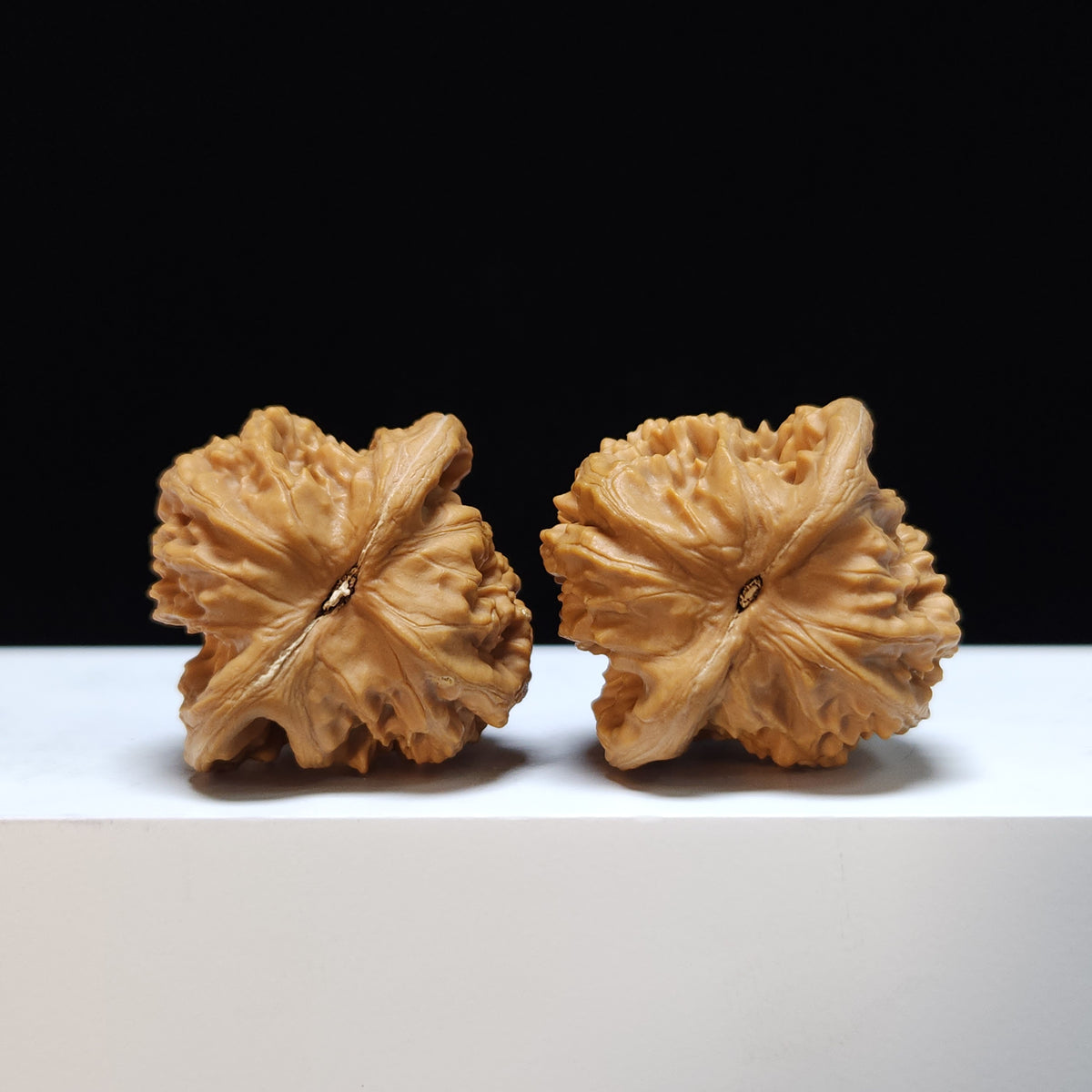 The "Beijing Xiayunling" Xiayunling Lion's Head Collector Pair | S-Grade Investment Tier | 38.0mm x 37.0mm | SZ-S-023363