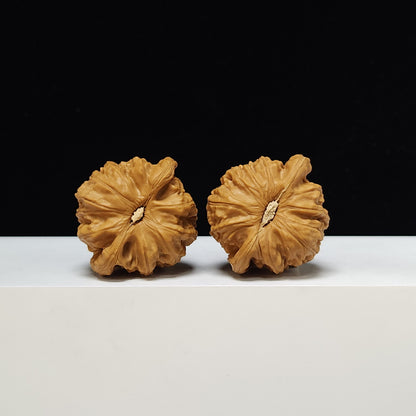 The "Sunken-Crown White Lion" Men Jian Bai Shi Zi Collector Pair | S-Grade Investment Tier | 42.0mm x 38.0mm | BSZ-S-005374