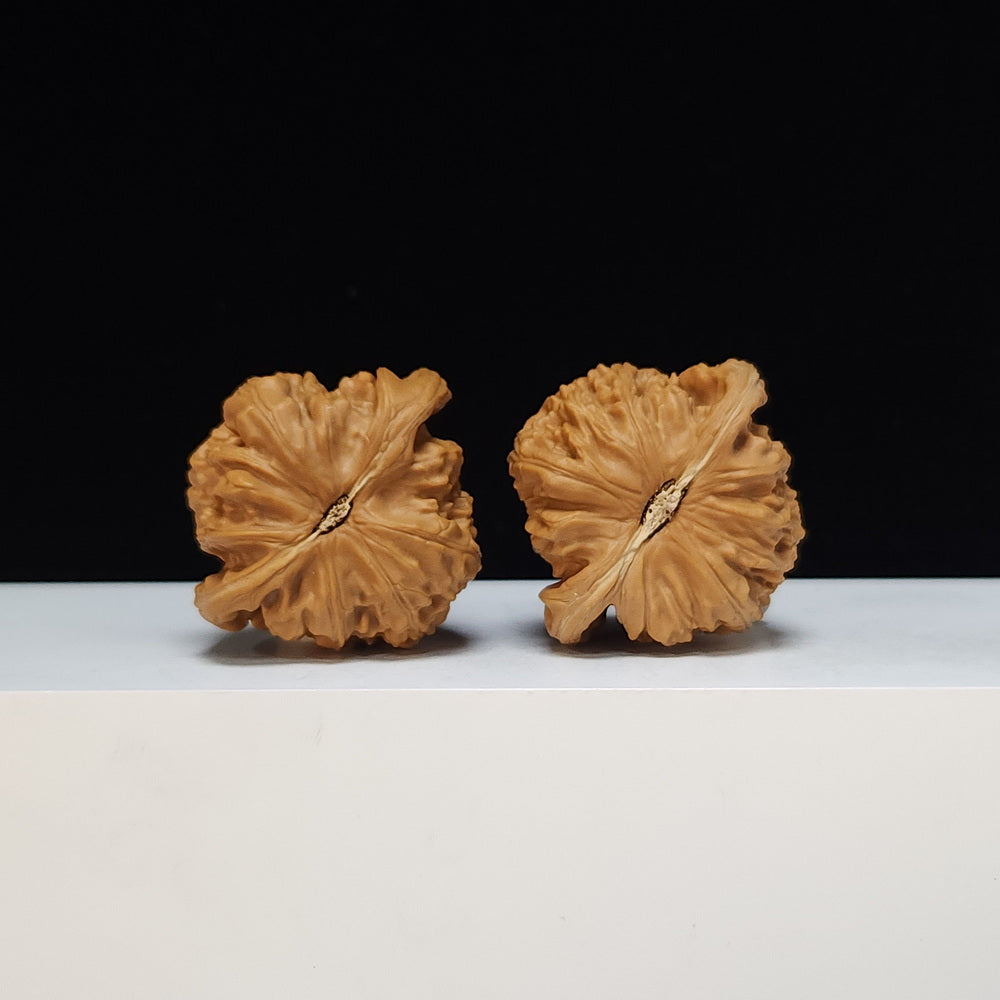 The White Lion Bai Shi Zi Collector Pair | S-Grade Investment Tier | 43.0mm x 40.0mm | BSZ-S-012493