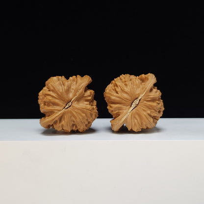 The White Lion Bai Shi Zi Collector Pair | S-Grade Investment Tier | 43.0mm x 40.0mm | BSZ-S-012493