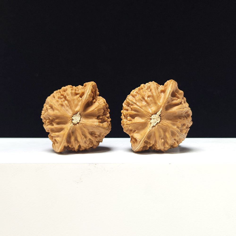 The "Lantern" Collector Pair | AA-Grade Collector Tier | 41.0mm x 36.0mm | SZ-AA-058713