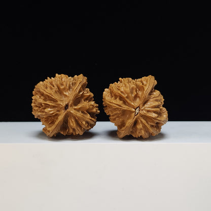 The "Beijing Heart" Beijing Ji Xin Masterpiece Pair | SS-Grade Masterpiece Tier | 44.0mm x 44.0mm | JX-SS-003483
