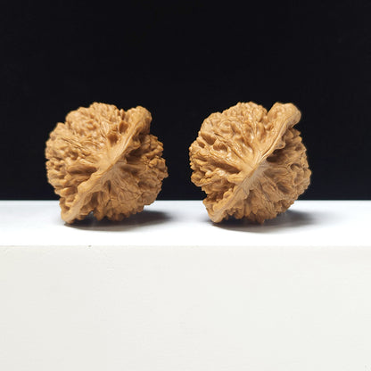 The "Official's Hat Guan Mao" Collector Pair | A-Grade Collector Tier | 44.0mm x 40.0mm | GM-A-024751