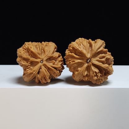 The "Blizzard Angel Wings" Bao Xue Tian Shi Zhi Yi Pair | S-Grade Collector Tier | 38.0mm x 40.0mm | BX-S-002360