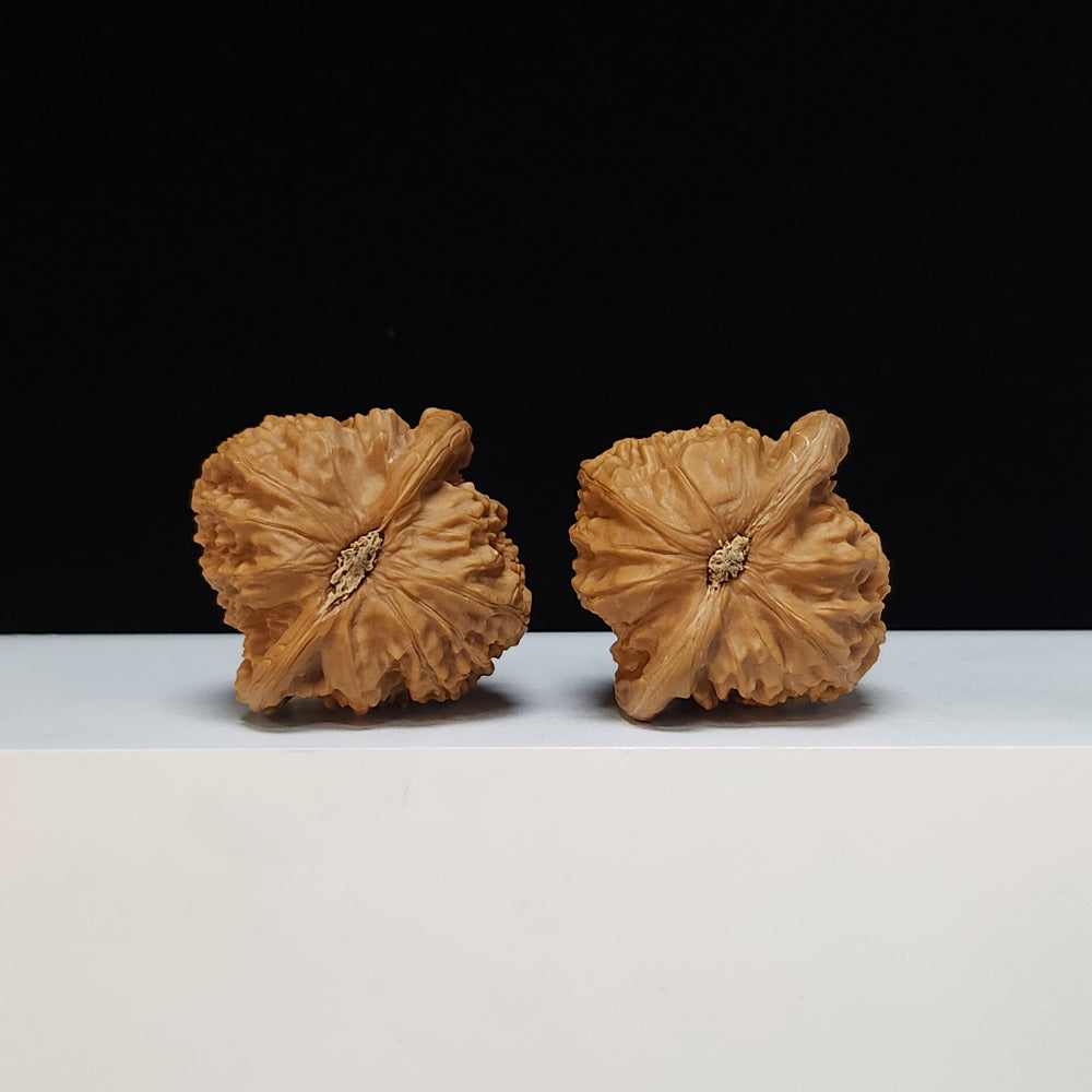 The White Lion Bai Shi Zi Collector Pair | SS-Grade Masterpiece Tier | 43.0mm x 42.0mm | BSZ-SS-010492
