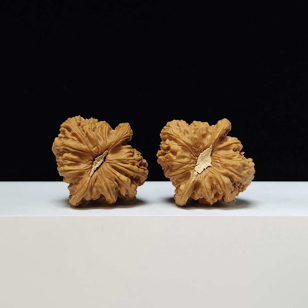 The "Ruby Concave Base" Hong Bao Shi Lion's Head Pair | S-Grade Collector Tier | 40.0mm x 41.0mm | SZ-S-012317
