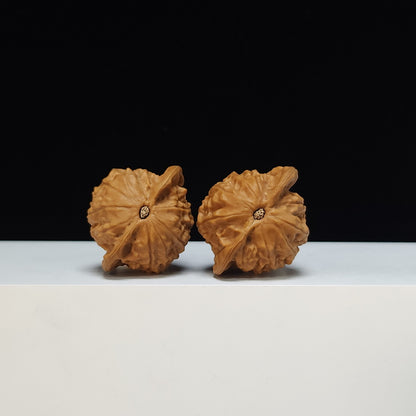 The "Porcelain Doll" (Ci Wa Wa) Premium Symmetrical Pocket-Play Pair | 40.0mm x 34.0mm | GM-SS-003479