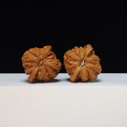 The White Lion Bai Shi Zi Collector Pair | SS-Grade Masterpiece Tier | 42.0mm x 41.0mm | BSZ-SS-011494