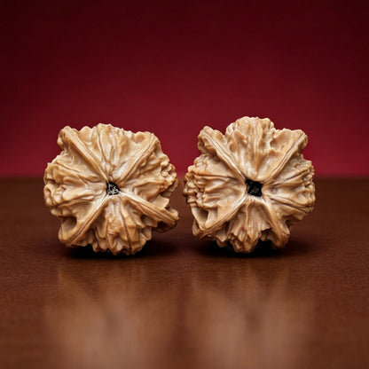 The "Imperial Jade Seal 4-Ridge X-Men" (Yu Xi Si Leng X Zhan Jing) Rare Genetic Mutation Symmetrical Pair | 41.0mm x 43.0mm | YX-E-049528