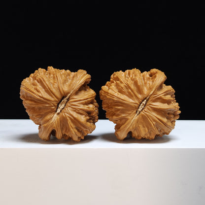 The "Low-Apex Spherical White Lion" (Men Jian Qiu Xing Bai Shi Zi) Exhibition-Grade Symmetrical Pair | 41.0mm x 44.0mm | BSZ-SS-008446