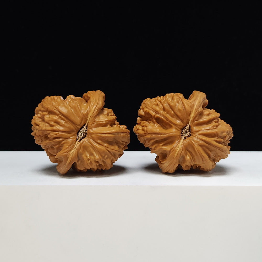 The "Butterfly Sunken-Crown White Lion" Hu Die Men Jian Bai Shi Zi Pair | SS-Grade Imperial Tier | 44.0mm x 49.0mm | BSZ-SS-007371