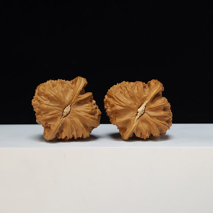 The White Lion Bai Shi Zi Collector Pair | S-Grade Investment Tier | 42.0mm x 42.0mm | BSZ-S-014497
