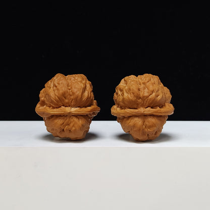 The "Red Shell Toad Head" (Hong Ke Ha Ma Tou) Ultimate Symmetrical Pair | 41.0mm x 42.0mm | HMT-SS-001508