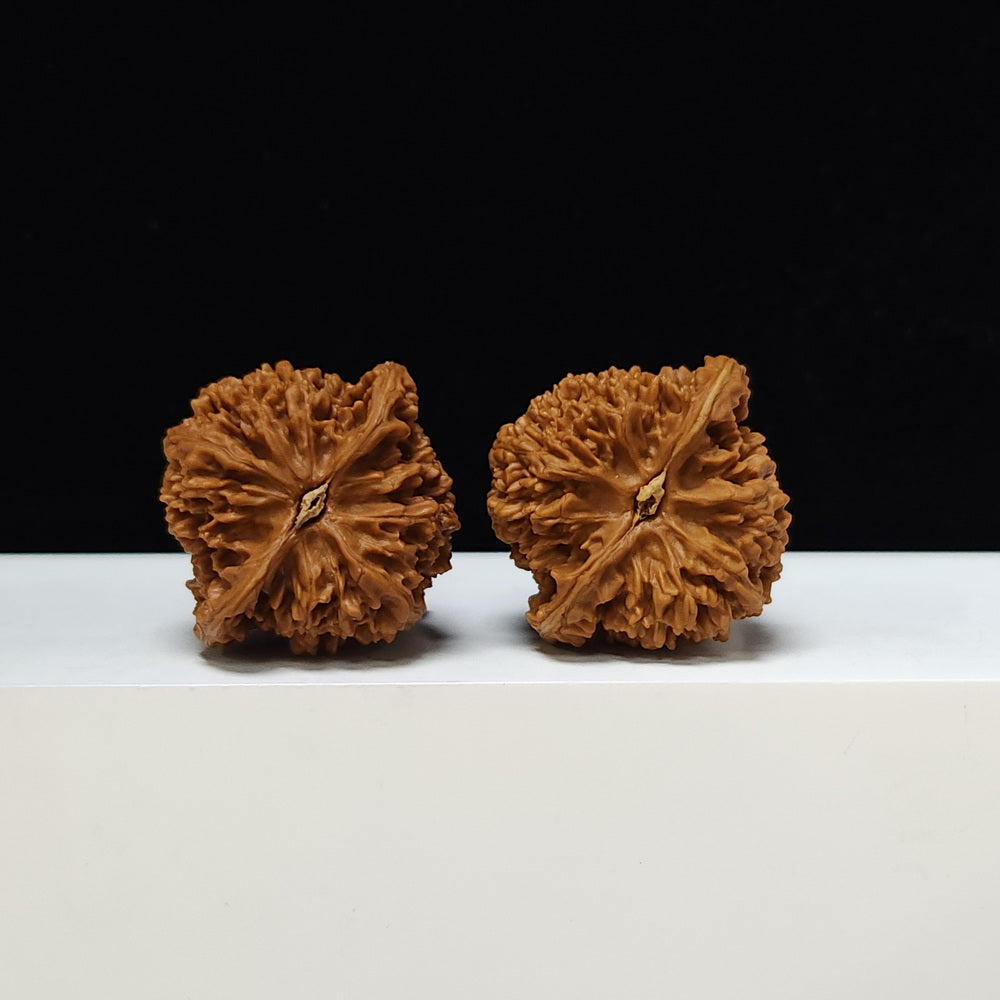 The "Starry Sky" Man Tian Xing Collector Pair | S-Grade Investment Tier | 43.0mm x 40.0mm | MTX-S-002319