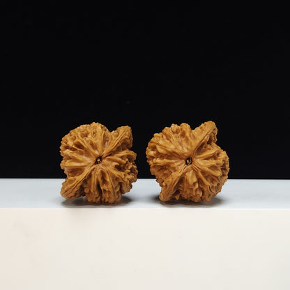 The "Peach Heart Tiger Head King" (Tao Xin Hutou Wang) Premium Symmetrical Collector's Pair | 42.0mm x 38.0mm | HT-SS-004477