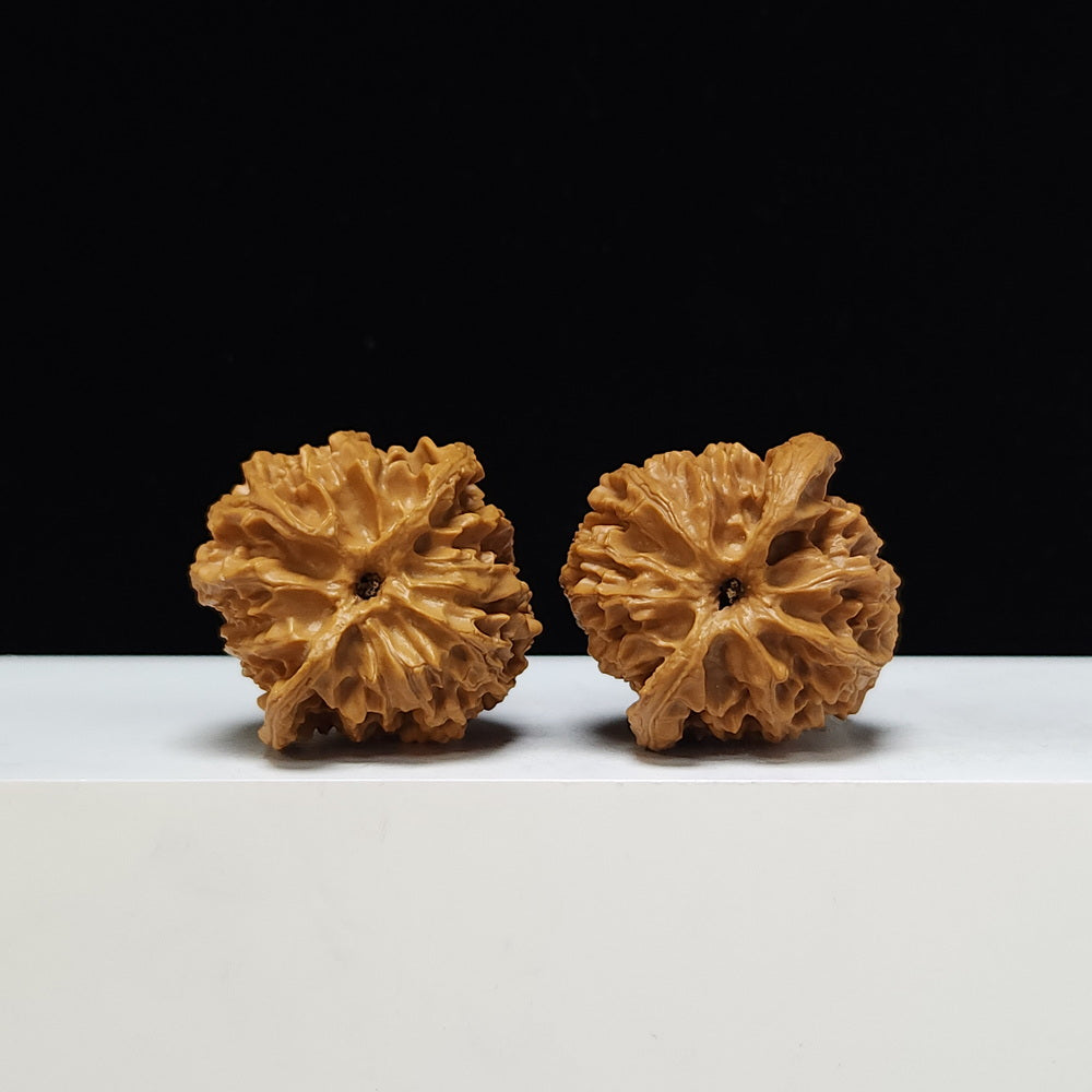 The "Apple Orchard" Ping Guo Yuan Lion's Head Collector Pair | S-Grade Investment Tier | 40.0mm x 38.0mm | PGY-S-001043