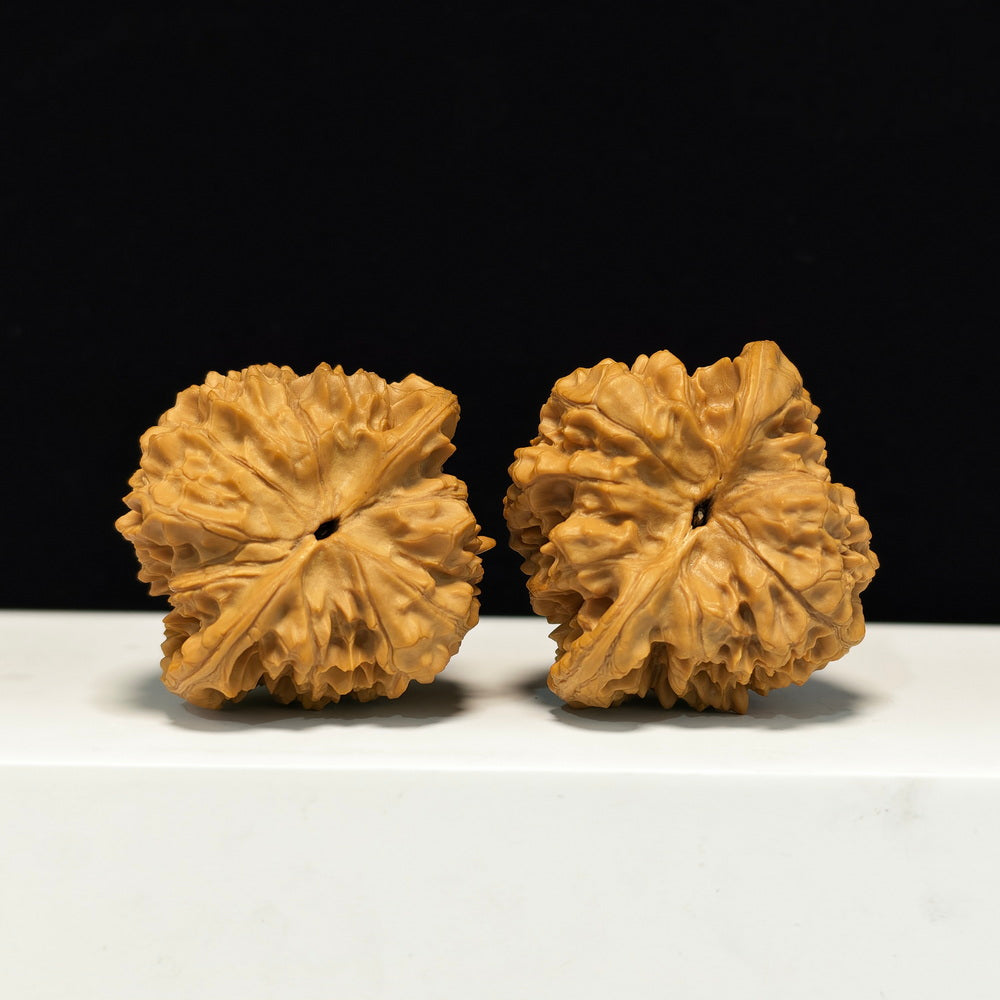 The "Low-Profile Grand Official's Hat" Guan Mao Sovereign Pair | Collector Grade | 47.0mm x 45.0mm | GM-S-005346