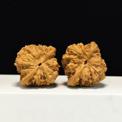 The "Low-Profile Grand Official's Hat" Guan Mao Sovereign Pair | Collector Grade | 47.0mm x 45.0mm | GM-S-005346