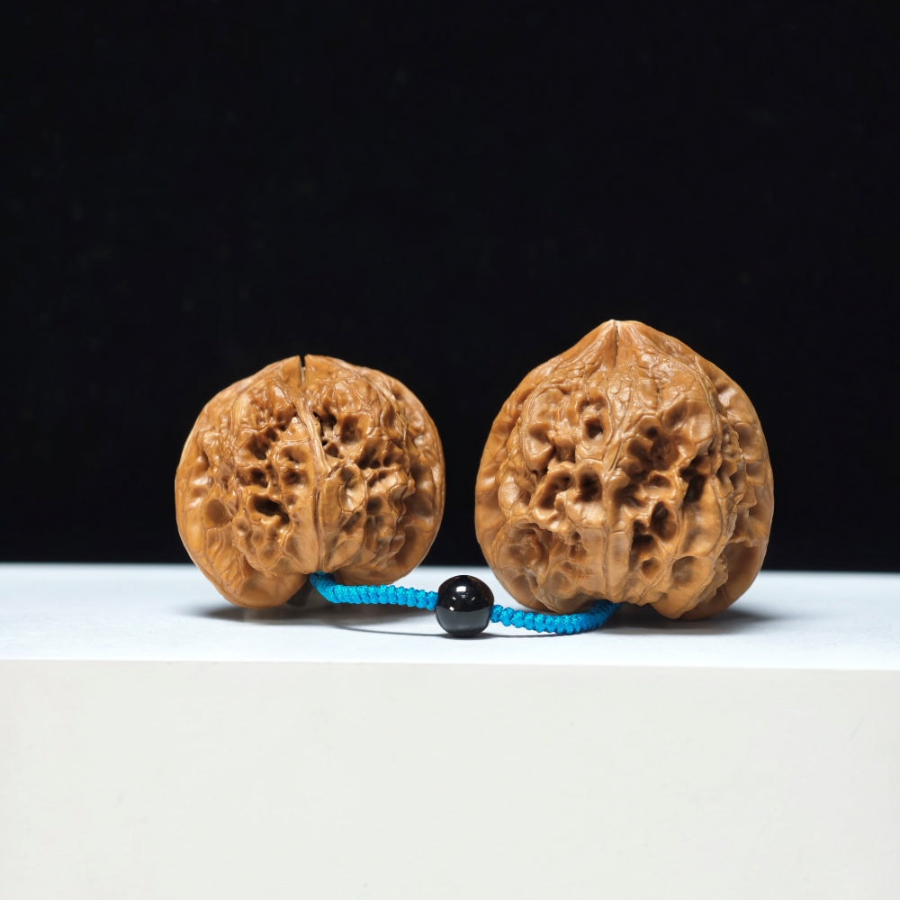 The "Thick-Veined Meteor Hammer" Cu Jin Liu Xing Chui Linked Exotic Pair | Rare Form Tier | 40.0x40.0mm & 37.0x34.0mm | YX-E-131835