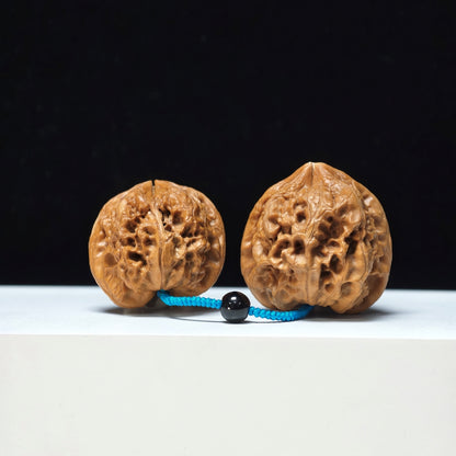 The "Thick-Veined Meteor Hammer" Cu Jin Liu Xing Chui Linked Exotic Pair | Rare Form Tier | 40.0x40.0mm & 37.0x34.0mm | YX-E-131835