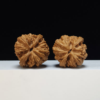 The "Dagu Stone" (Da Gu Shi) Premium Symmetrical Collector's Pair | 46.0mm x 44.0mm | JX-SS-002476
