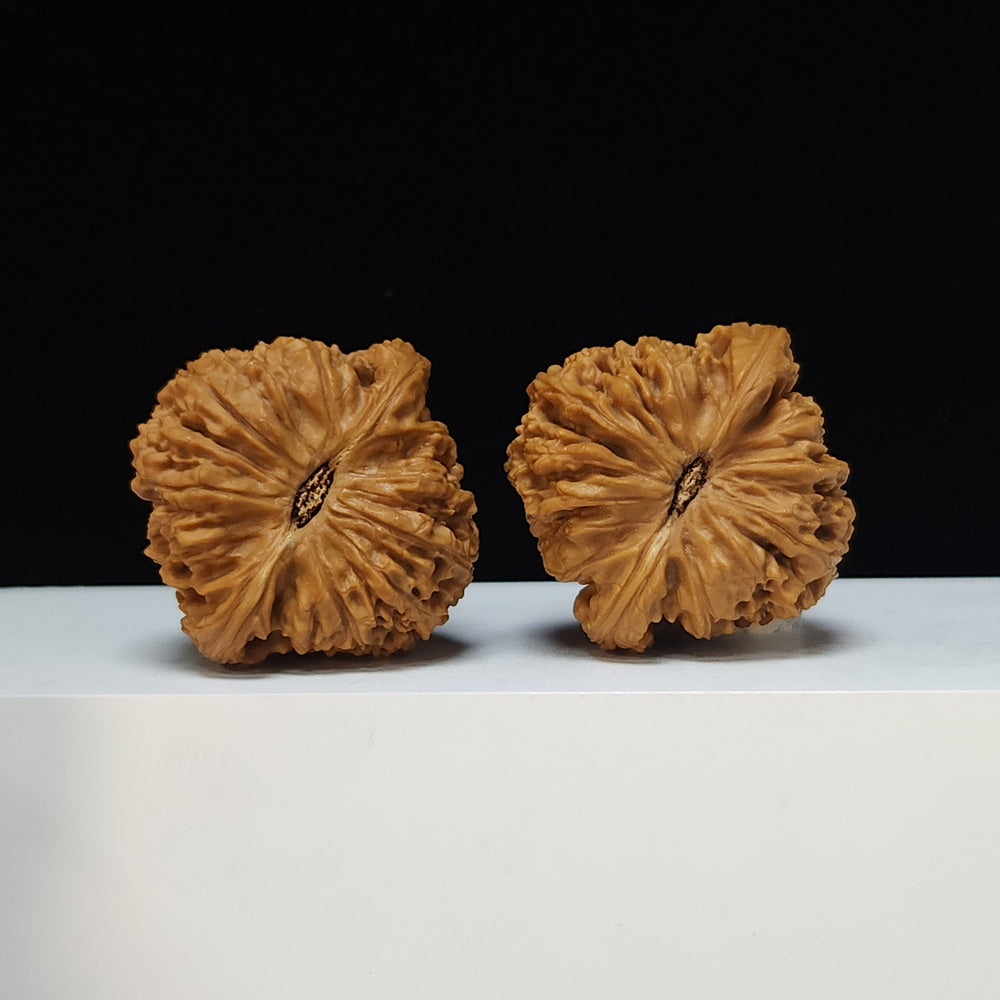 The "Spherical Round" Bai Shi Zi Lion's Head Pair | SS-Grade Masterpiece Tier | 46.0mm x 45.0mm | BSZ-SS-013498