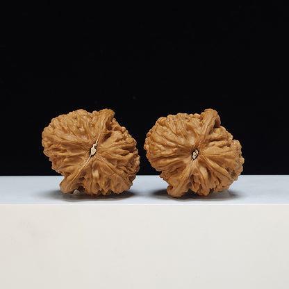 The "Red Brocade Koi" (Hong Jin Li) Premium Symmetrical Collector's Pair | 42.0mm x 39.0mm | HT-SS-002470