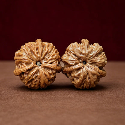 The "Yuhua Stone 3-Ridge Ben" (Yu Hua Shi San Leng Ben) Rare Genetic Mutation Symmetrical Pair | 36.0mm x 38.0mm | YX-E-046524
