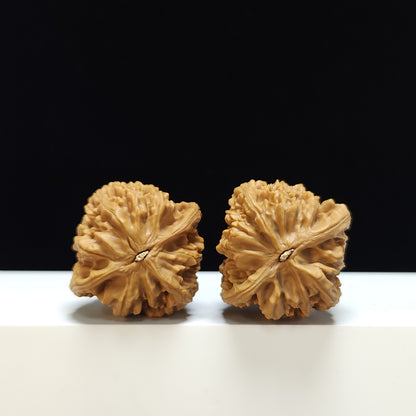 The "Beijing Heart" Beijing Ji Xin Classic Pair | S-Grade Collector Tier | 41.0mm x 40.0mm | JX-S-003359
