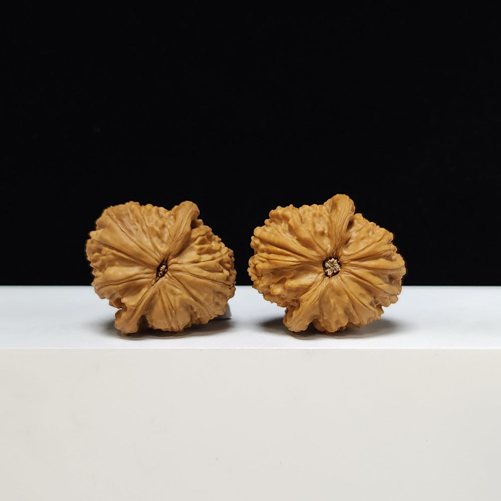 The "Spherical Sunken-Crown White Lion" Qiu Xing Men Jian Bai Shi Zi Pair | S-Grade Investment Tier | 37.0mm x 40.0mm | BSZ-S-004373