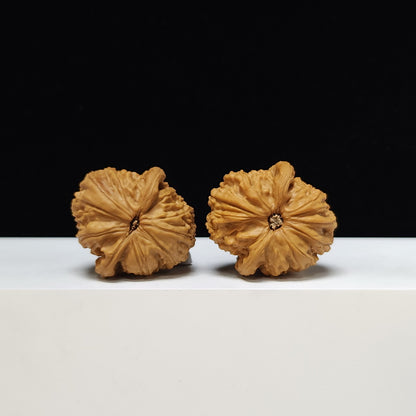 The "Spherical Sunken-Crown White Lion" Qiu Xing Men Jian Bai Shi Zi Pair | S-Grade Investment Tier | 37.0mm x 40.0mm | BSZ-S-004373