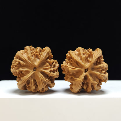 The "Peach Heart Lantern" Deng Long Lion's Head Sovereign Pair | SS-Grade Imperial Tier | 46.0mm x 44.0mm | SZ-SS-011354