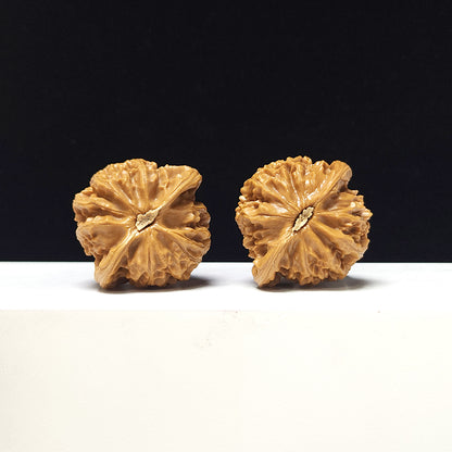 The "Lantern" Collector Pair | A-Grade Collector Tier | 41.0mm x 38.0mm | SZ-A-067711