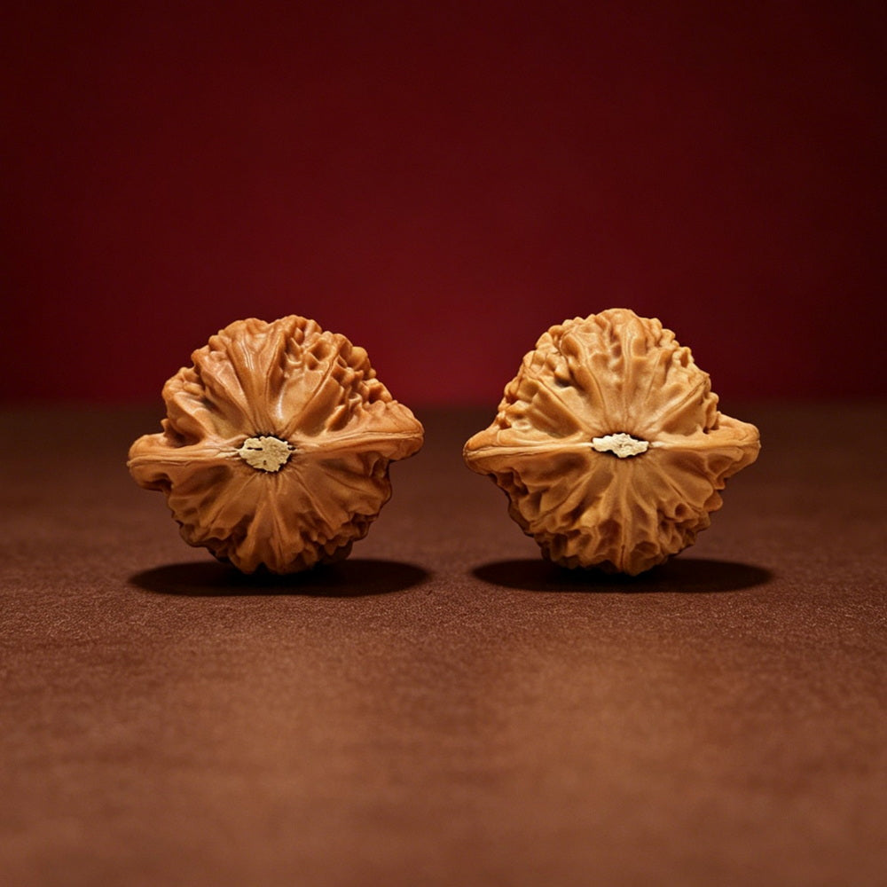 The "Lantern Hand-Twister" Collector Pair | AA-Grade Collector Tier | 39.0mm x 35.0mm | SZ-AA-059714