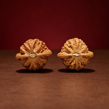 The "Lantern Hand-Twister" Collector Pair | AA-Grade Collector Tier | 39.0mm x 35.0mm | SZ-AA-059714