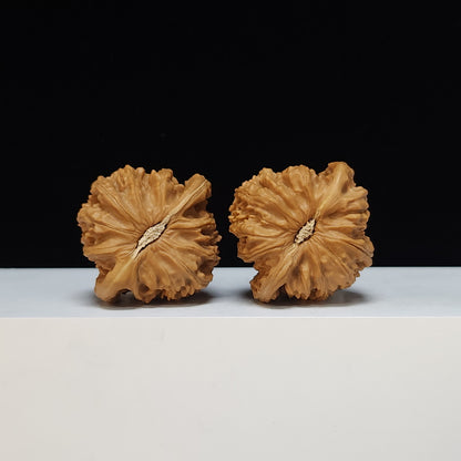 The "Spherical Round" Bai Shi Zi Lion's Head Pair | SS-Grade Masterpiece Tier | 44.0mm x 42.0mm | BSZ-SS-012496