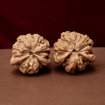 The "Kylin Turtle-Back Seated Buddha" (Kylin Wen Gui Bei Zuo Fo) Exhibition-Grade Symmetrical Masterpiece Pair | 44.0mm x 43.0mm | YX-E-047525