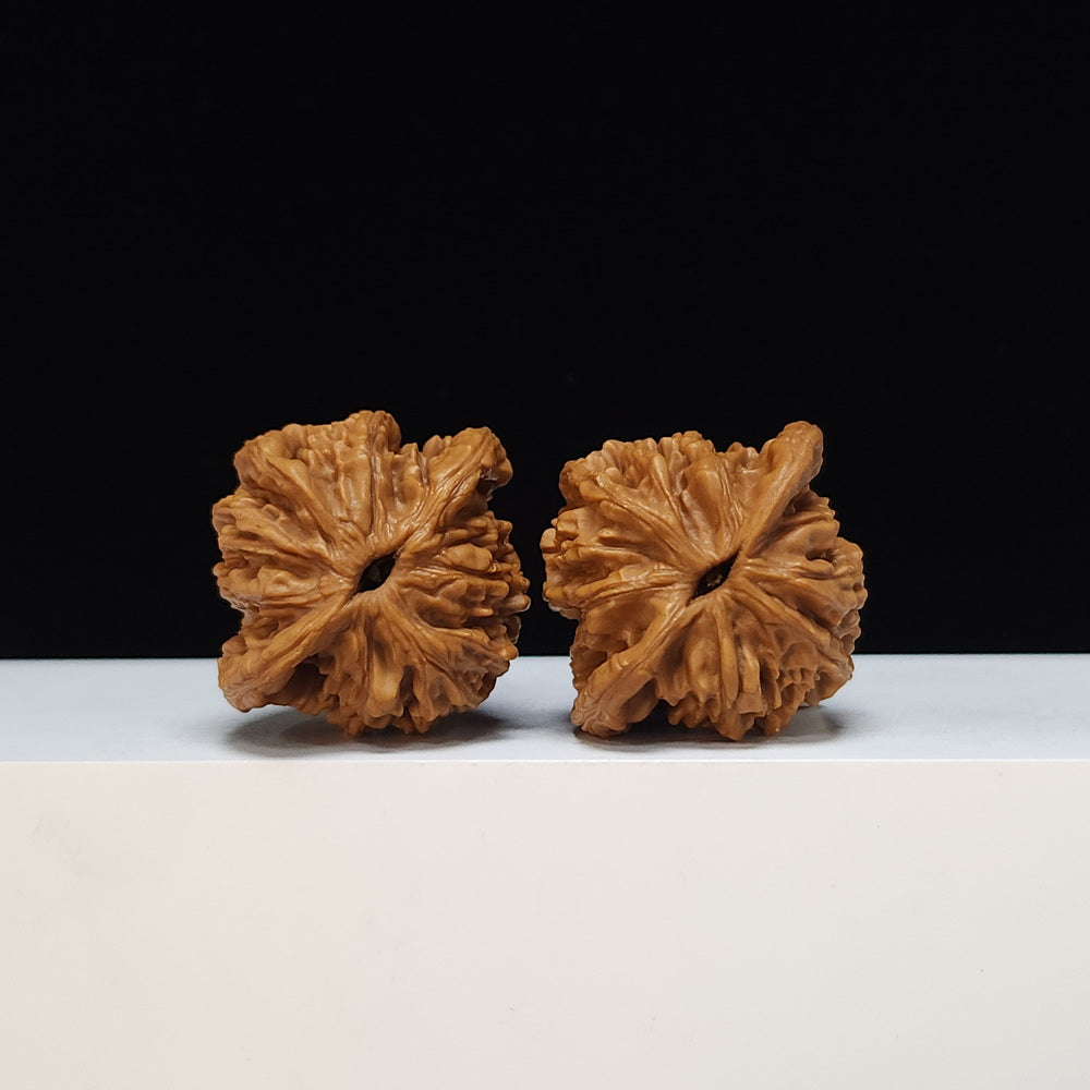 The "Wheat Ear Tiger Head" (Maisui Hutou) Heritage Symmetrical Pair | 44.0mm x 40.0mm | HT-S-002475