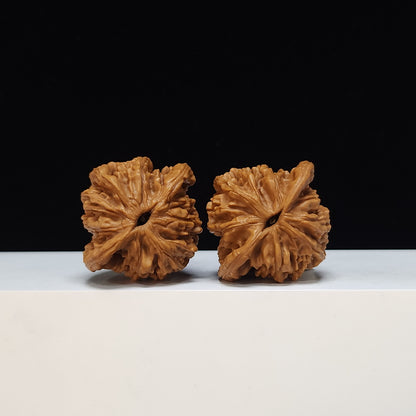 The "Wheat Ear Tiger Head" (Maisui Hutou) Heritage Symmetrical Pair | 44.0mm x 40.0mm | HT-S-002475
