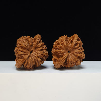 The "Qilin Texture" Qi Lin Wen Lion's Head Collector Pair | SS-Grade Masterpiece Tier | 50.0mm x 43.0mm | SZ-SS-016489