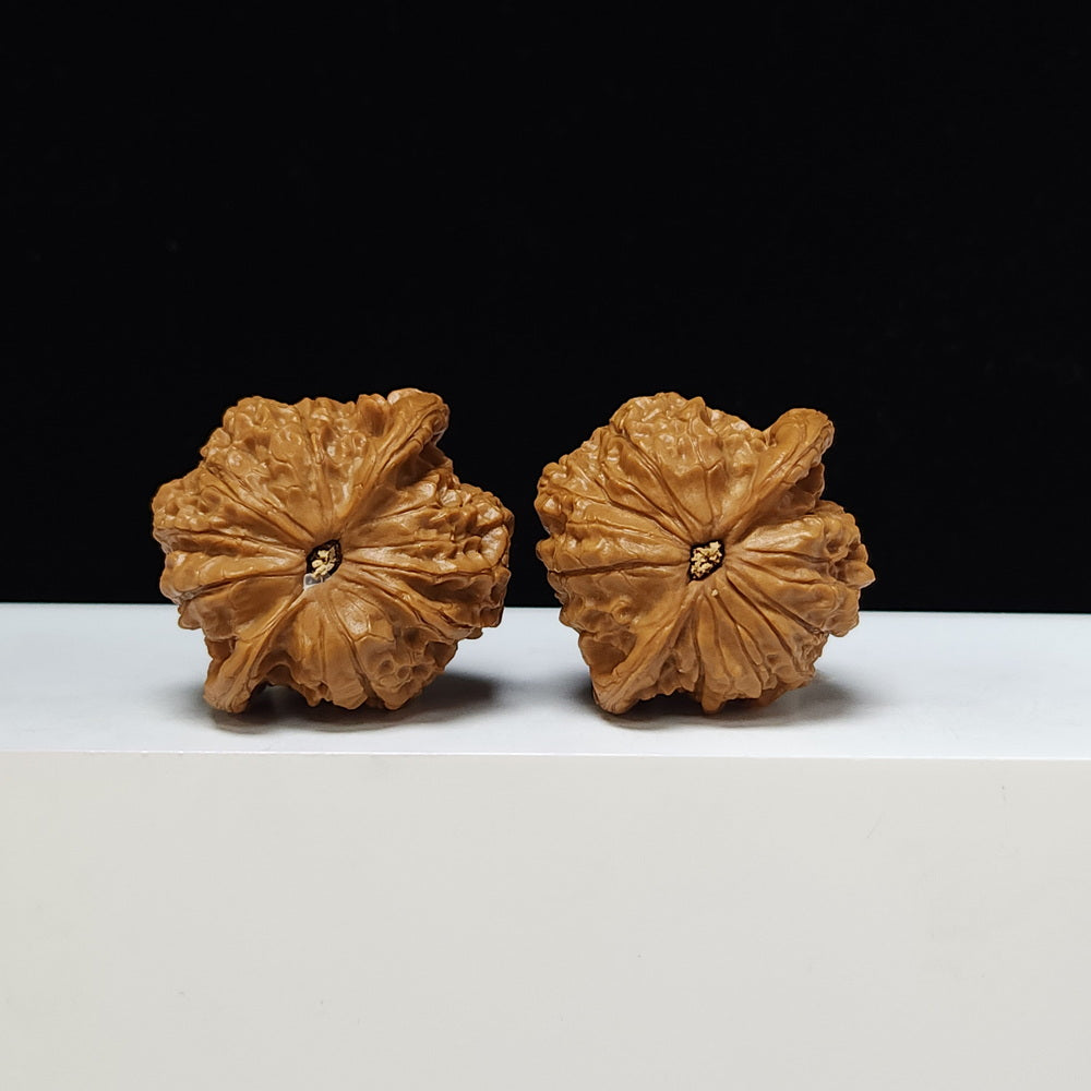 The "Blood Qilin" Xue Qi Lin Lion's Head Collector Pair | S-Grade Investment Tier | 44.0mm x 40.0mm | SZ-S-011201