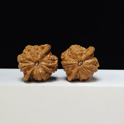 The "Blood Qilin" Xue Qi Lin Lion's Head Collector Pair | S-Grade Investment Tier | 44.0mm x 40.0mm | SZ-S-011201