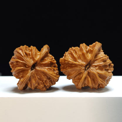 The "Imperial Lantern" (Denglong) Exhibition-Grade Symmetrical Pair | 42.0mm x 40.0mm | DL-SSS-001469