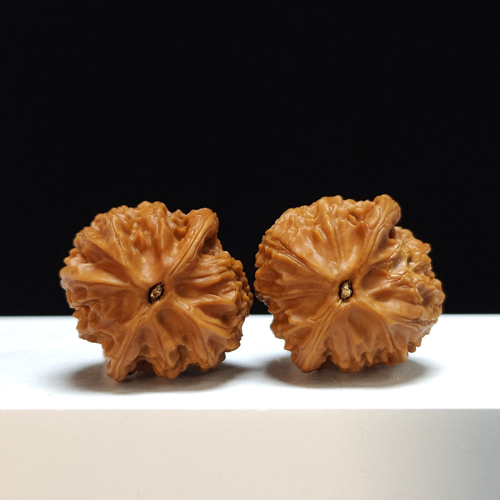 The "Gentian" (Long Dan) Imperial Symmetrical Masterpiece Pair | 34.0mm x 34.0mm | SZ-S-033464